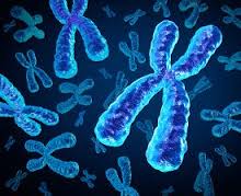 Module 4 - Microbiology & Pathology